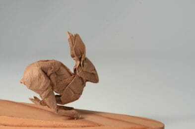 Hawk and Jackrabbit CU