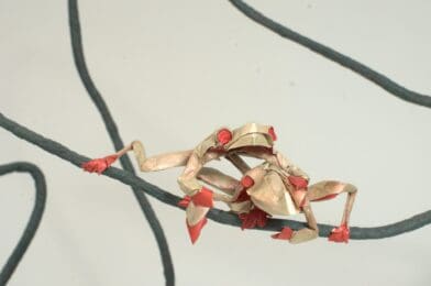 Out on a Limb - (Stephen Bundy owner) CU