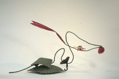 Out on a Limb- (Stephen Bundy owner)