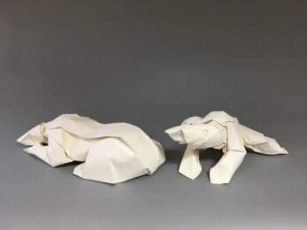 resting polar bears