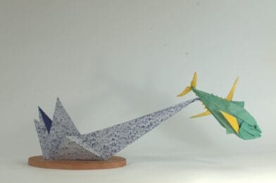 Yellow-Fin Tuna
